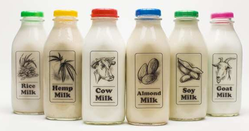 The Best Dairy-Free Milk Alternatives