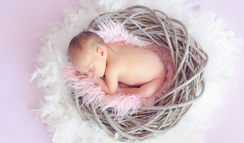 Newborn Photo Shoot Trends and Tips